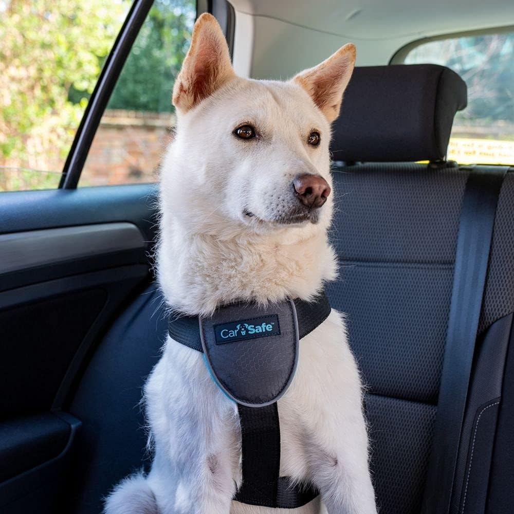 CarSafe Dog Travel Car Harness - from the makers... 16 CarSafe Dog Travel Car Harness - from the makers...