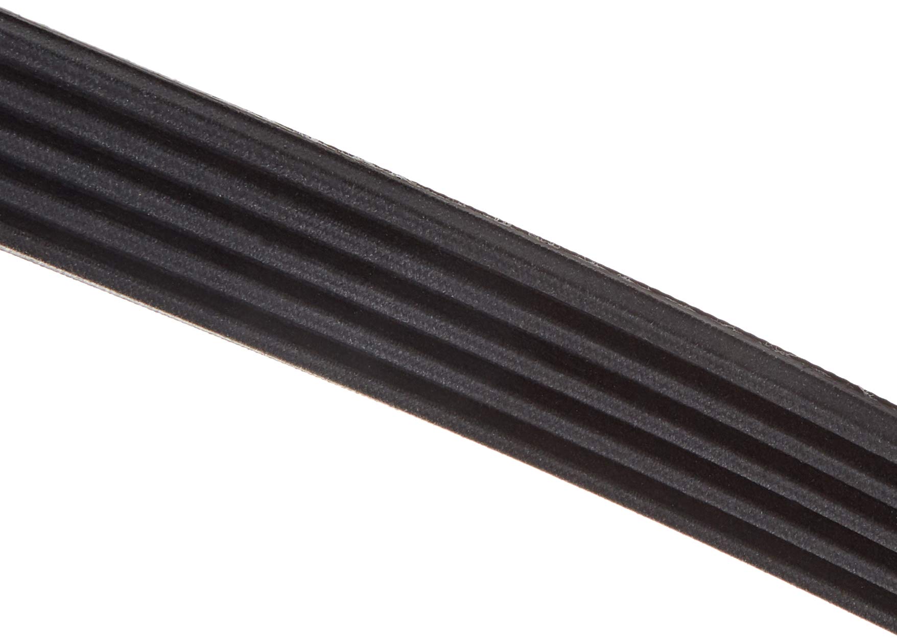 Contitech AP 5PK1515 Poly V-riem