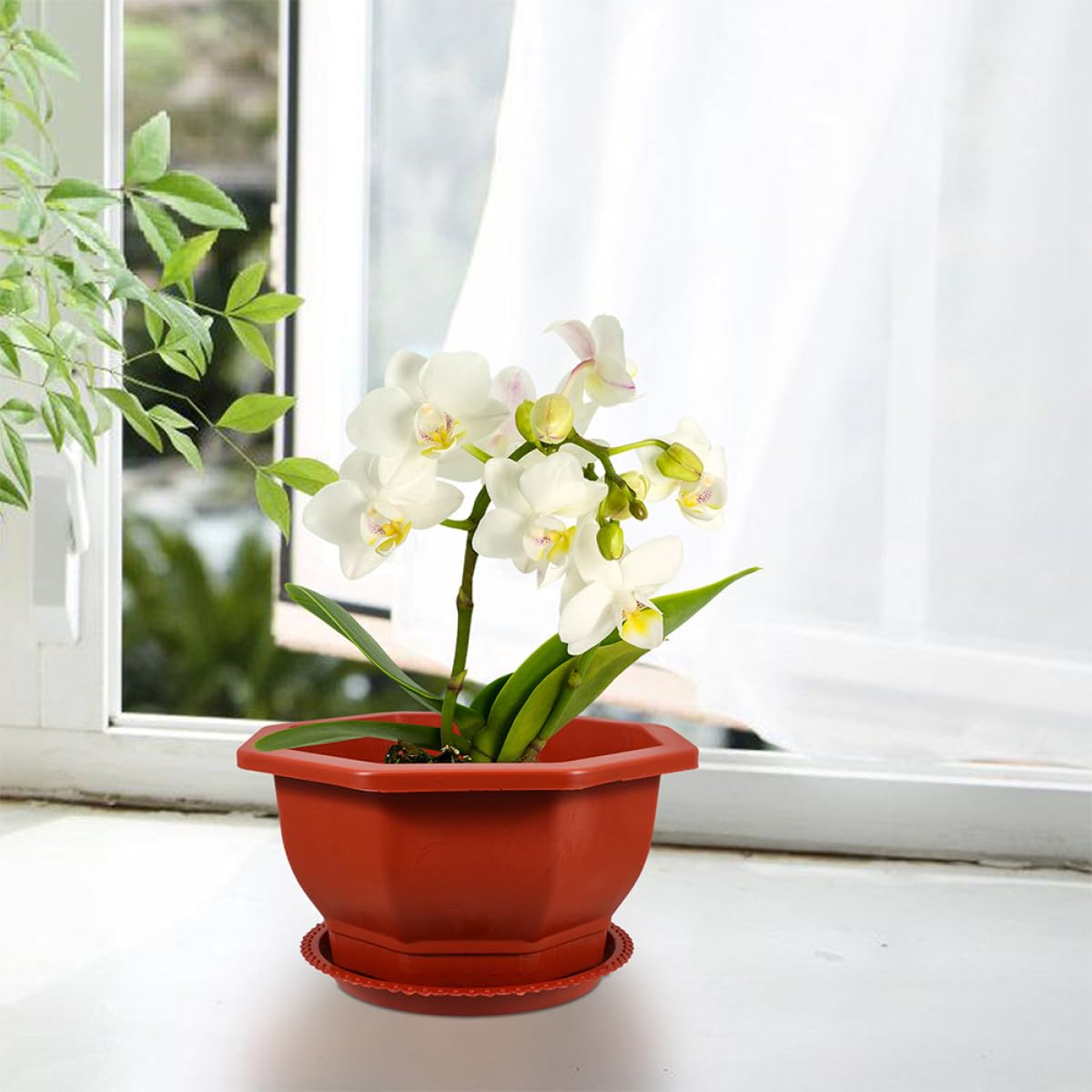 Housoutil Lot de 5 Jardinières Octogonales Rouges Épaisses Drainage Pots de Fleurs pour Plantes Grasses et Cactus Pots en Plastique pour Jardin D'intérieur et Balcon et Réutilisables