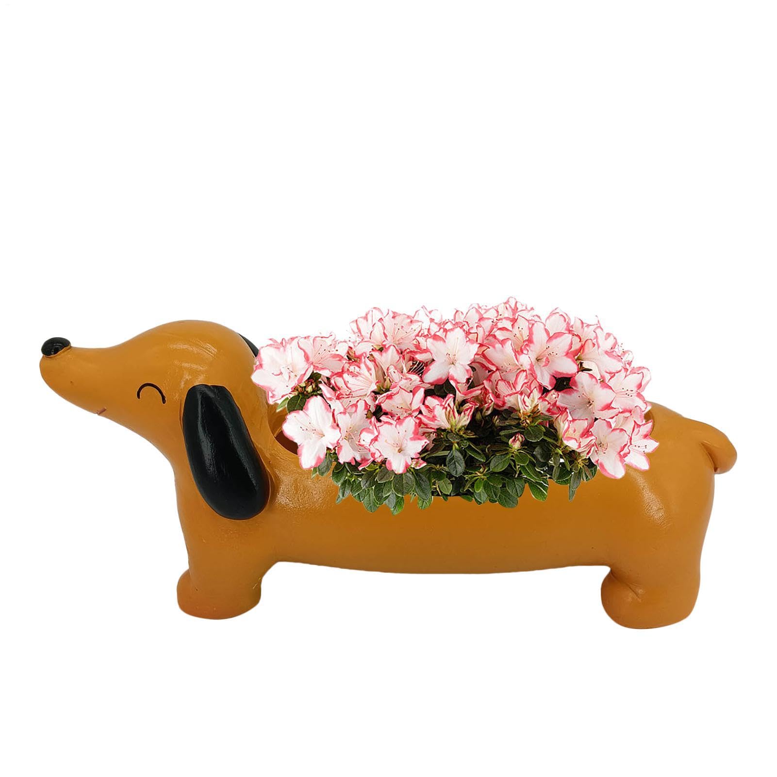 Pot de fleurs teckel en résine pour cactus et décoration de jardin