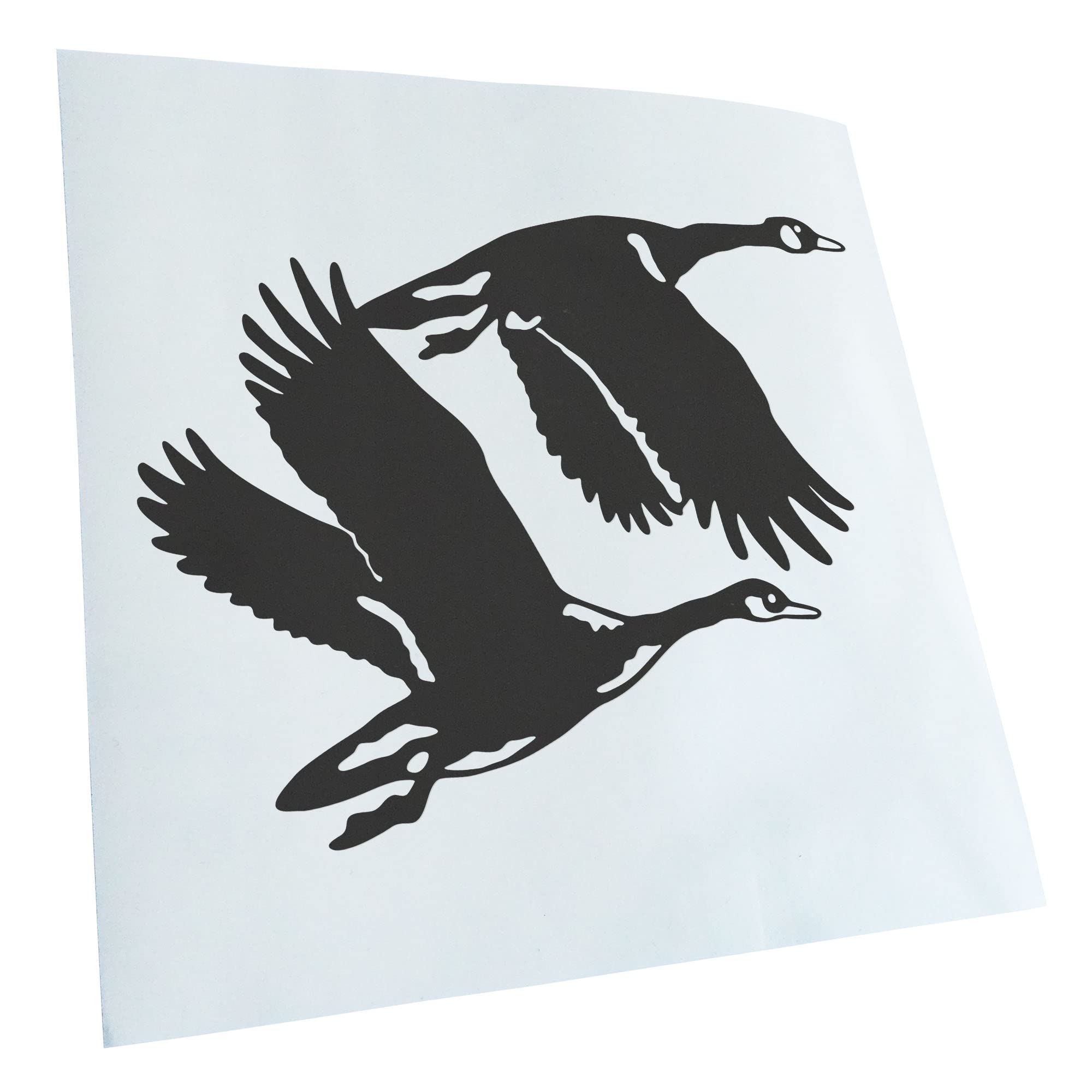 Kiwistar - Car Sticker - Dark Grey - 40 x 31 cm Ducks - Ducks - Duck - Rear Window Car Sticker Weatherproof for Car Truck Moped Truck - Sticker Exterior Self-Adhesive Tuning Accessories for Windows