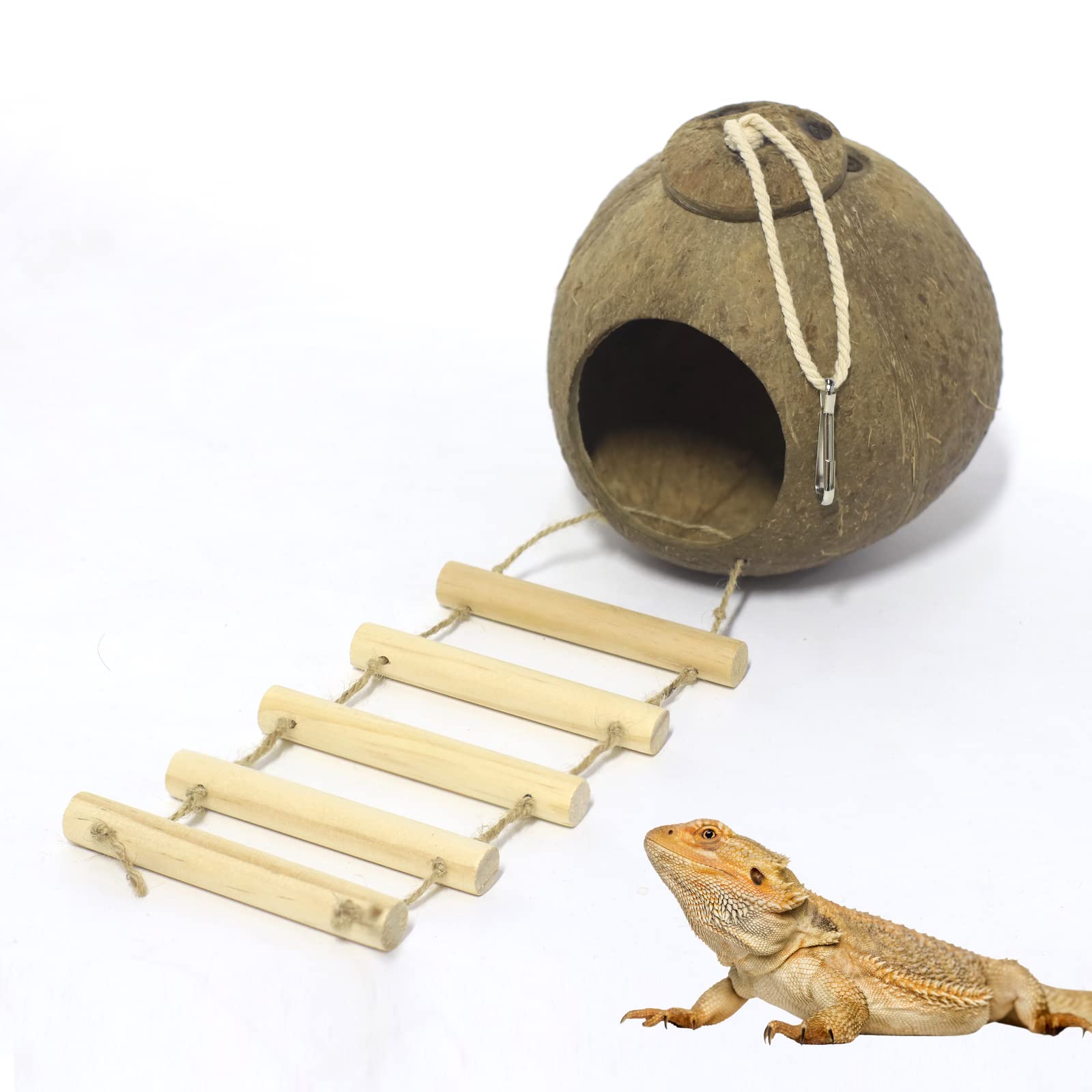 Jetisva Coconut Shell Bird Cage Coconut Hide Natural Coconut Reptile Hideouts Bird Coconut Nest with Ladder for Bird, Reptiles, Small Animal
