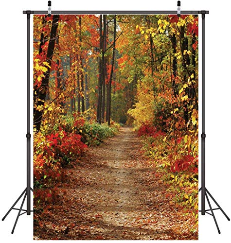 Ywygg 5X7Ft Fall Photography Backdrops Autumn Scenery Deciduous Background Vinyl Deciduous Mountain Road Photography Backdrop Tree And Yellow Fall Leaves Background Studio Props Cp-66 #TOP2