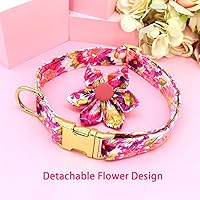 Vista 4 de Collar de perro femenino para perros pequeños/medianos/grandes, suave y cómodo ajustable con hebilla de seguridad, collar de perro para perros