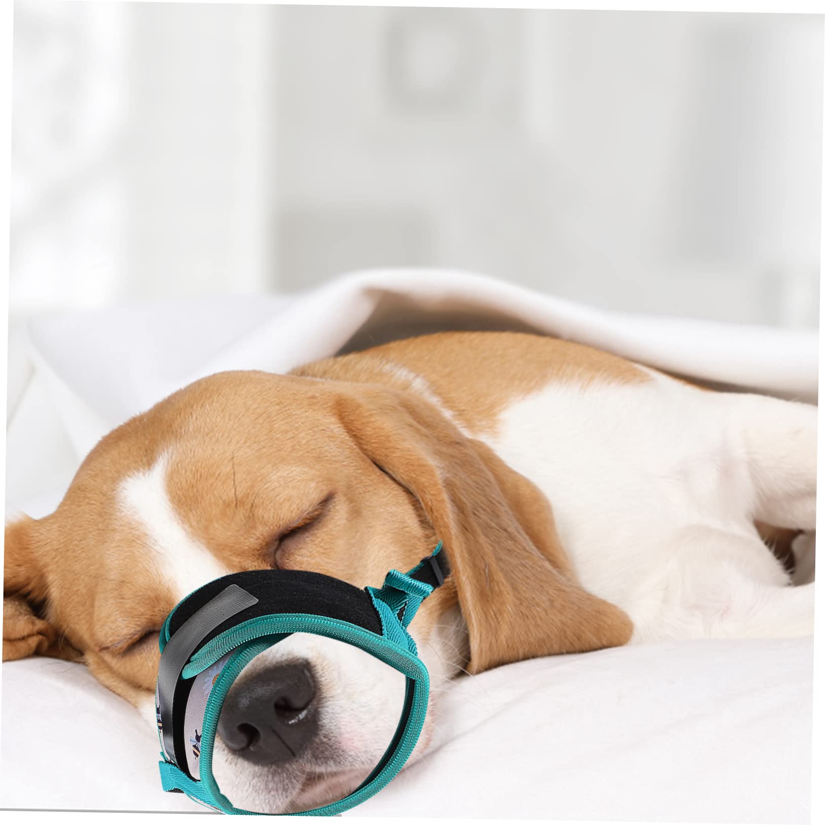 HEMOTON Breathable Adjustable Dog Muzzle for Chewing and Barking Prevention Soft Pet Accessory for Comfortable Outdoor Use