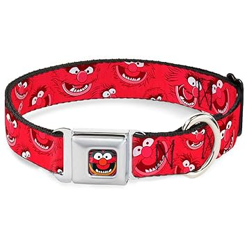 Buckle-Down DC-WDY114-WS DYDF Animal Face Close Dog Collar, WIDE-Small/13-18