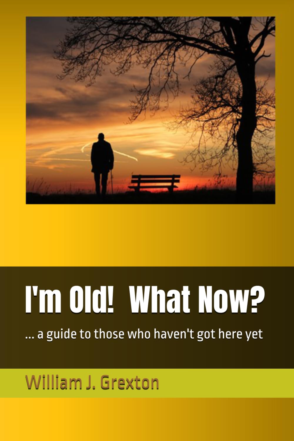 I'm Old! What Now?: ... a guide to those who haven't got here yet