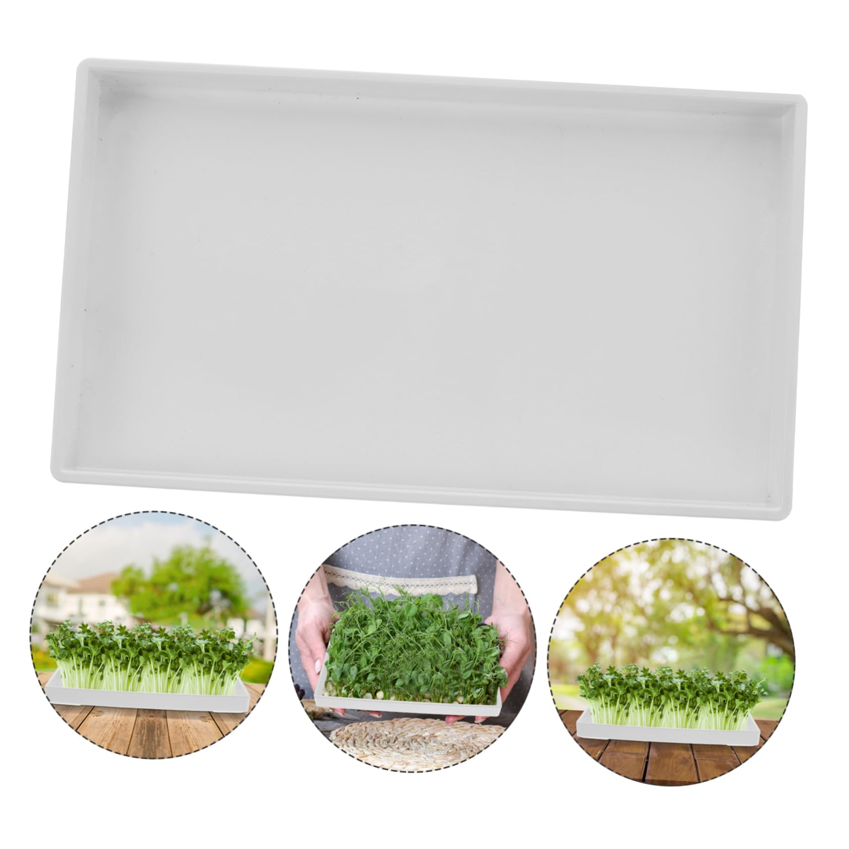 Plateau De Germination pour Cuisine Plateau De Plantation Pot Et Germination Facile pour Cultiver Pousses De Soja
