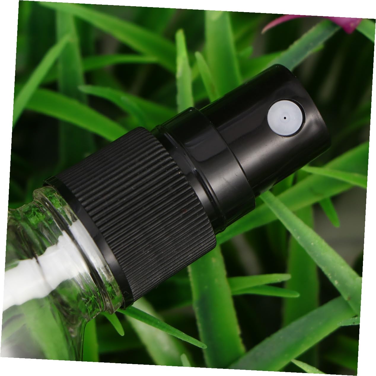 Anneome 6 Stück Transparente Glas Sprühflaschen mit Feinem Nebel Nachfüllbare Parfümzerstäuber Leichte Reiseflaschen mit Schwarzem Sprühkopf für Make up Aromatherapie Camping