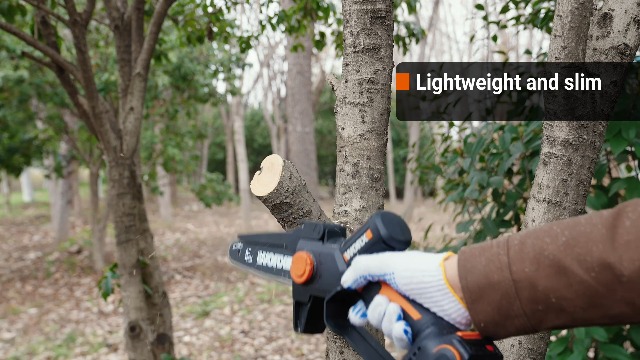 Amazon.com : WORX Mini Chainsaw, 20V 6'' Pruning Saw with