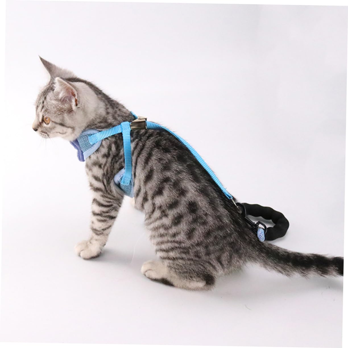 VANZACK 3stücke Verstellbares Bowknot Katzen Geschirr Atmungsaktive Weste Für Katzen Geeignet Für Leicht Und Design Blau Für Und Outdoor-aktivitäten