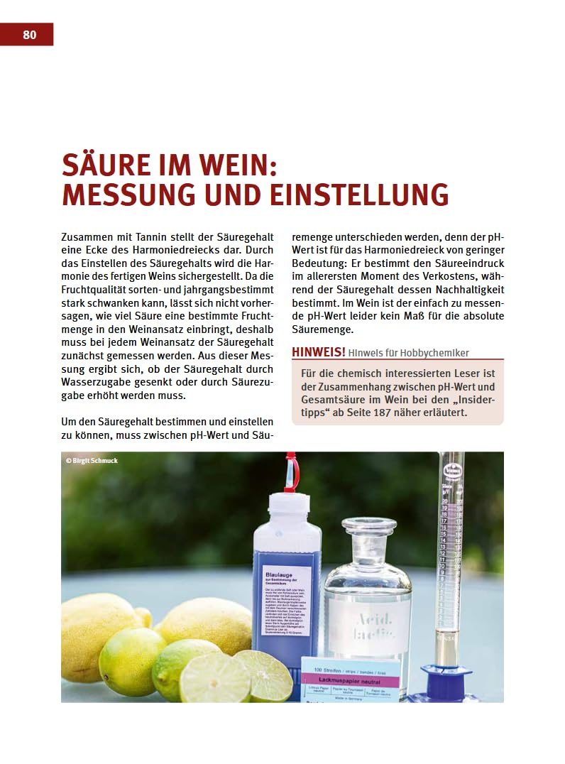 Craft Wine selbst gemacht: Das große Buch der Fruchtweinbereitung