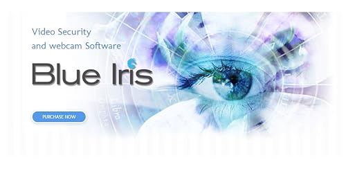 Blue Iris - Thumbnail 7