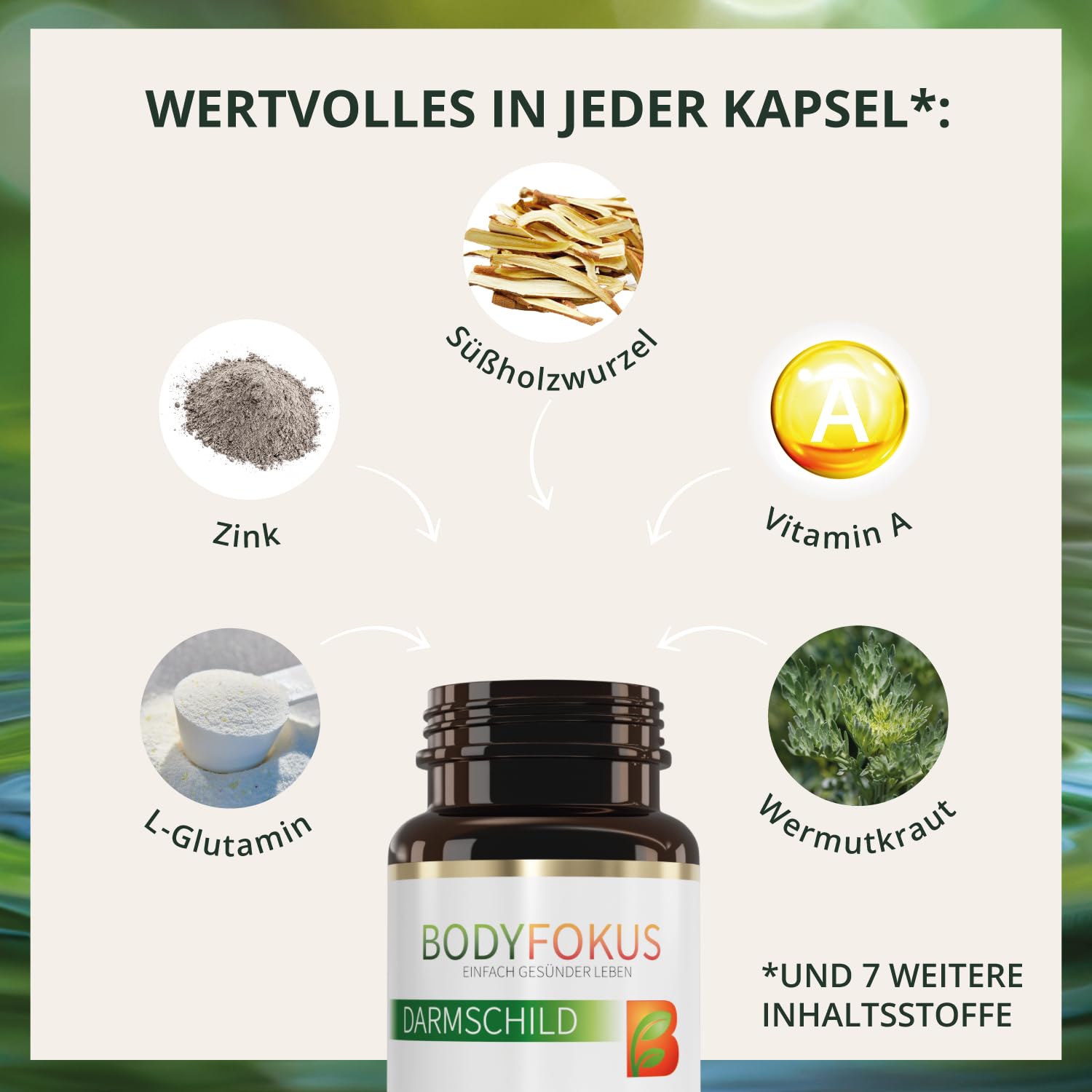 BodyFokus DarmSchild L-Glutamin Magnesium Zink Vitamin A Komplex 60 Kapseln