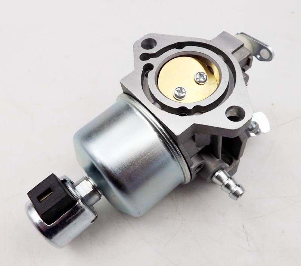 Amazon.com: Goodfind68 New Carburetor compatible with 791889  