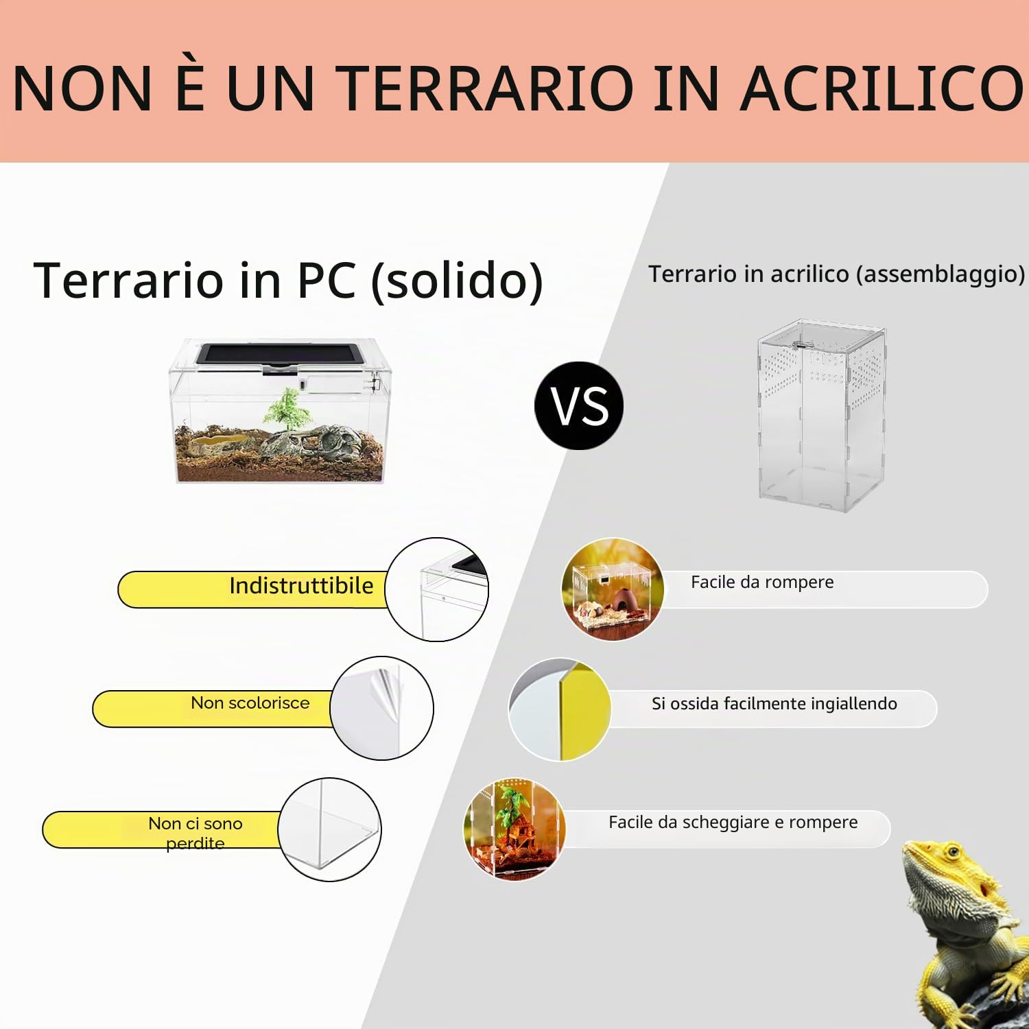 Reptile Growth Terrario Kit, 12" x 7"x 6" PC terrarium con vista completa visivamente accattivante, PC terrario rettili per Geco leopardino Drago barbuto Ragno lumaca insetto tarantola serpente