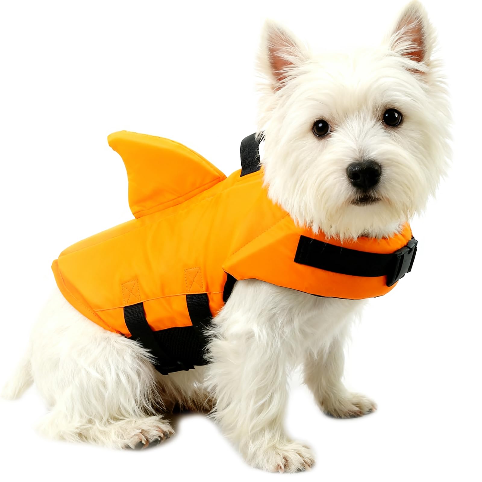 GabeFish Shark Gilet de sauvetage pour chien Bleu orange, M (Weight: 17-48lb/8-22kg), Orange