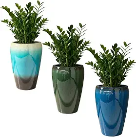 Vaso De Plantas Resina Grande Vietnamita Para Decoração - Castela