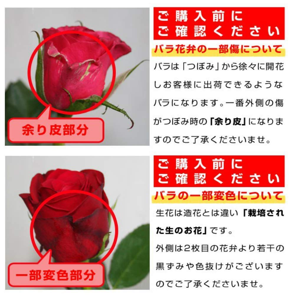 Amazon｜BisesFlower(ビズフラワー)【クール便出荷】バラ 花束 108本