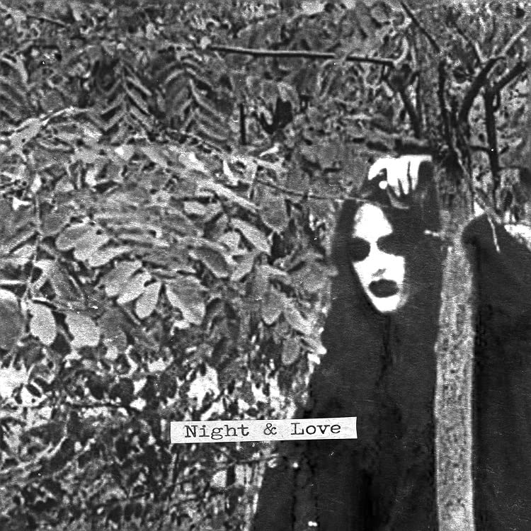 Night & Love-Vinyle Metal Argent