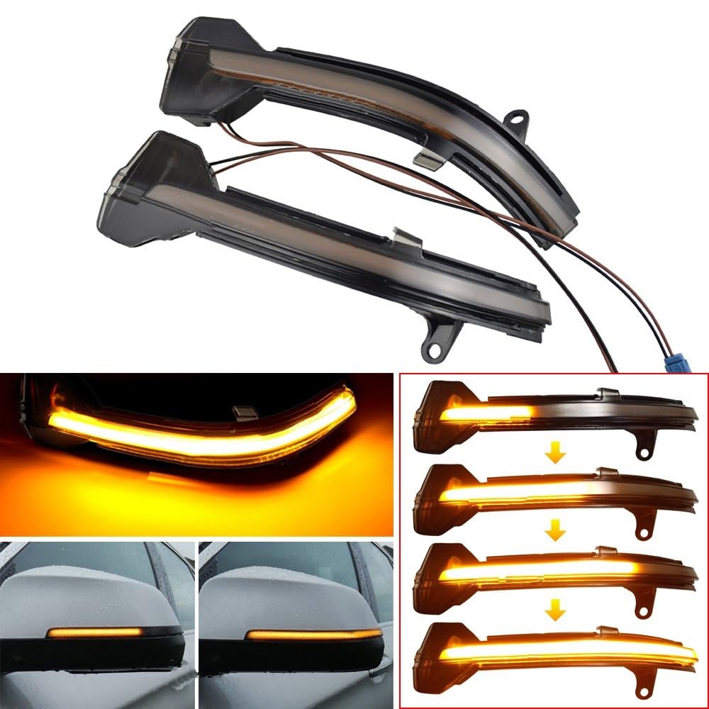 SYLTER Intermitentes AutomóViles Luz Señal Giro Dinámica para BMW 5 6 7 Series F10 F11 F07 F06 F12 F13 F01 2 Uds Indicador Intermitente Espejo Retrovisor Lateral Coche Intermitente Espejo Lateral