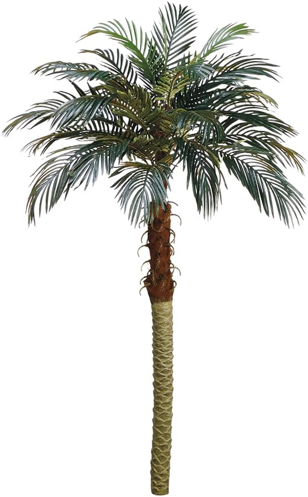 6' Phoenix Palm Tree (Pack of 2)