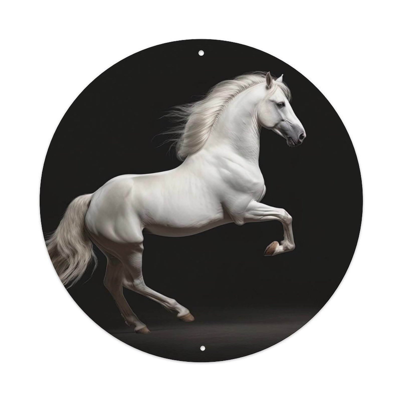Andalusian Horses Vintage Metal Tin Sign Plaque Wall Decor for Cafe, Club, Garden Round Metal Poster 8x8Inch