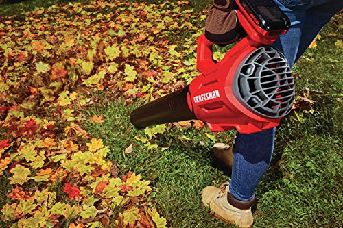CRAFTSMAN V20 Trimmer & Blower Combo - Image 2