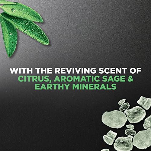 Dove Reviving Minerals & Sage Body And Face Wash With 24-Hour Nourishing Micromoisture Technology Body Wash For Men, 13.5 Oz #TOP4