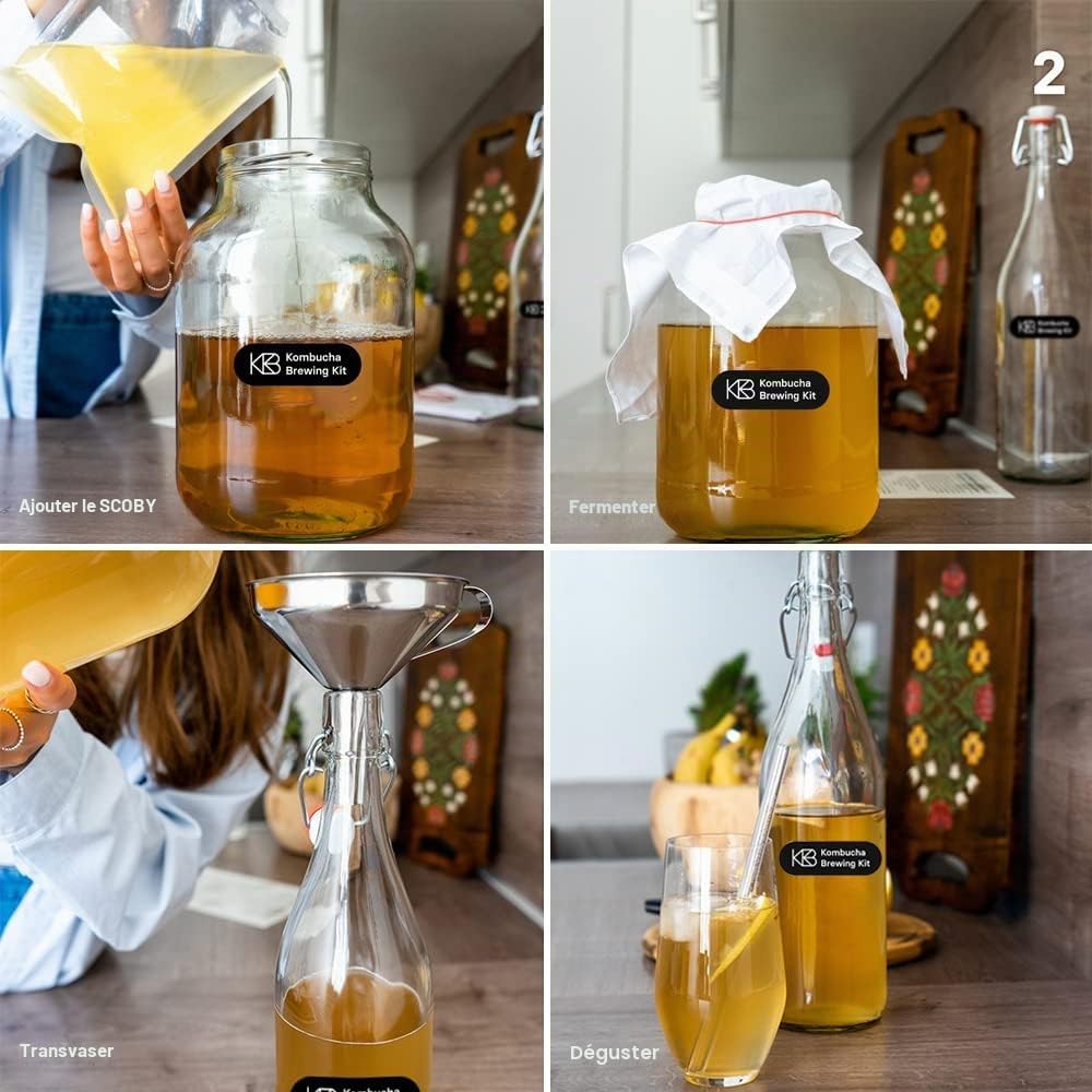Kombucha Kit d'infusion Bundle, Kombucha Starter Kit avec culture bio Scoty et 4 saveurs d'infusion, avec récipient de fermentation, bouteille à repasser, sucre de canne brut bio, paille en verre