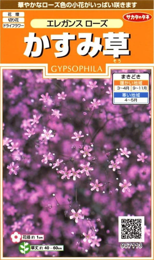 *かすみ草*ページ Amazon | サカタのタネ 実咲花7113 かすみ草 エレガンスローズ