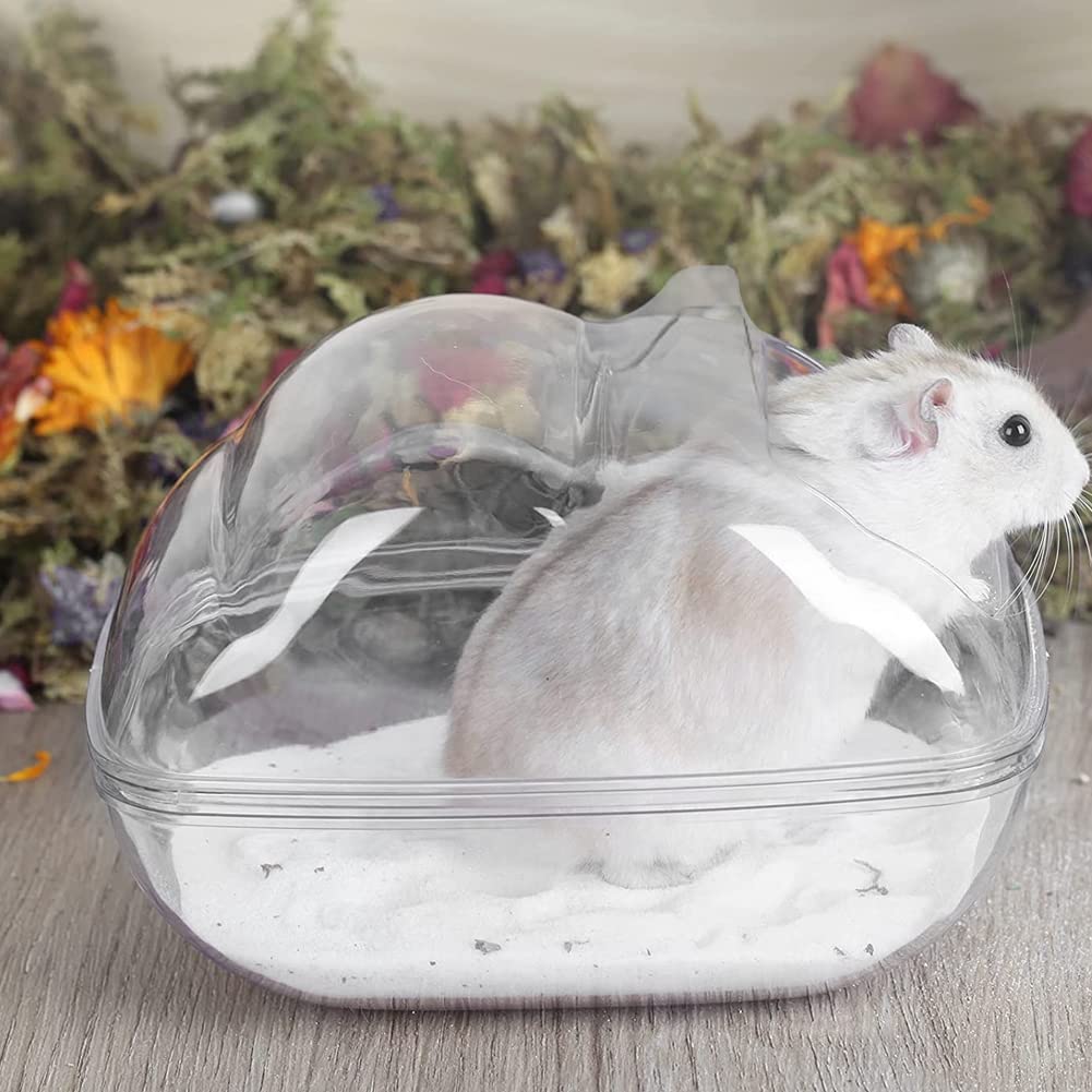 Hamster