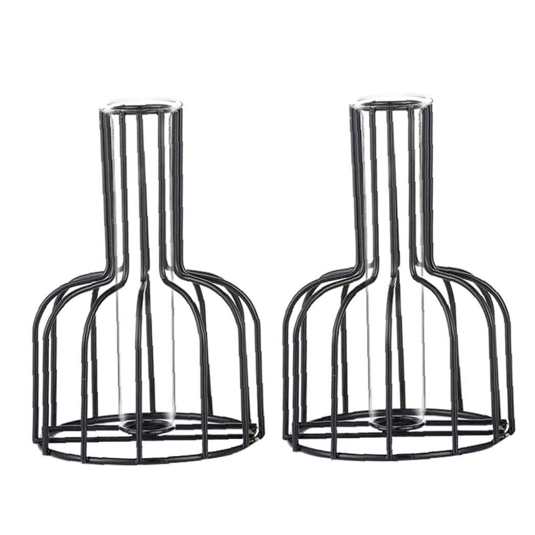VHJdtE Metal vases, With Metal Frame for Hydroponic Plant(Black)