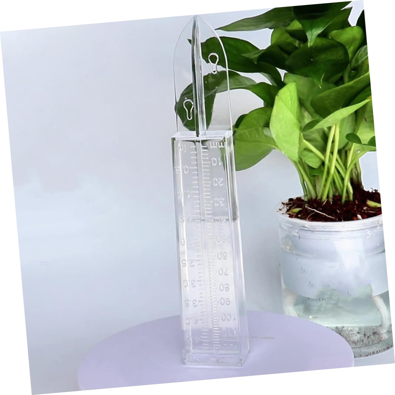 Mikikit 6pezzi Pluviometro in Plastica Per Misuratore Pioggia Trasparente Per Misurazione Decorazione Da Pluviometro Antigelo Attrezzo Da