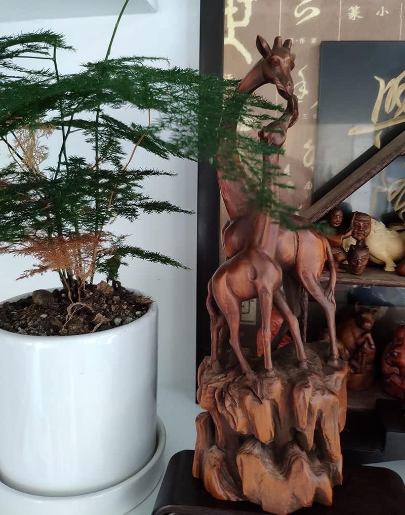 ML004- 21.5 x 7.7 cm Stunning Boxwood Carving: Beautiful Two Giraffes