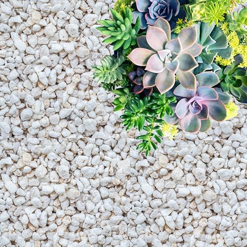 GARDENWISE Perlite for Plants, Coarse and Chunky Horticultural Perlite, Organic Perlite for...
