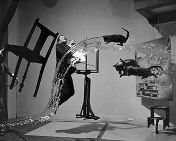 サルバドール　ダリ 数あるサルバドール・ダリの画集の中で、『DALI 全画集』は推し