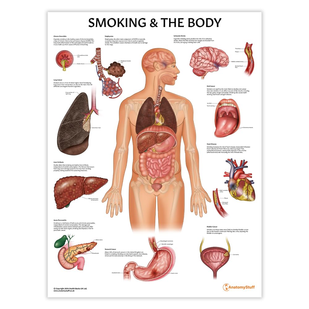 tobacco stocks in india Best Tobacco Stocks in India (June 2026)