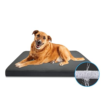 FriPuP Orthopedic Pet Bed for Dogs and Cats, Medium to Large Size, for Therapeutic Joint and Muscle Relief, Washable Bed Cover and Mattress (Large, Gray)