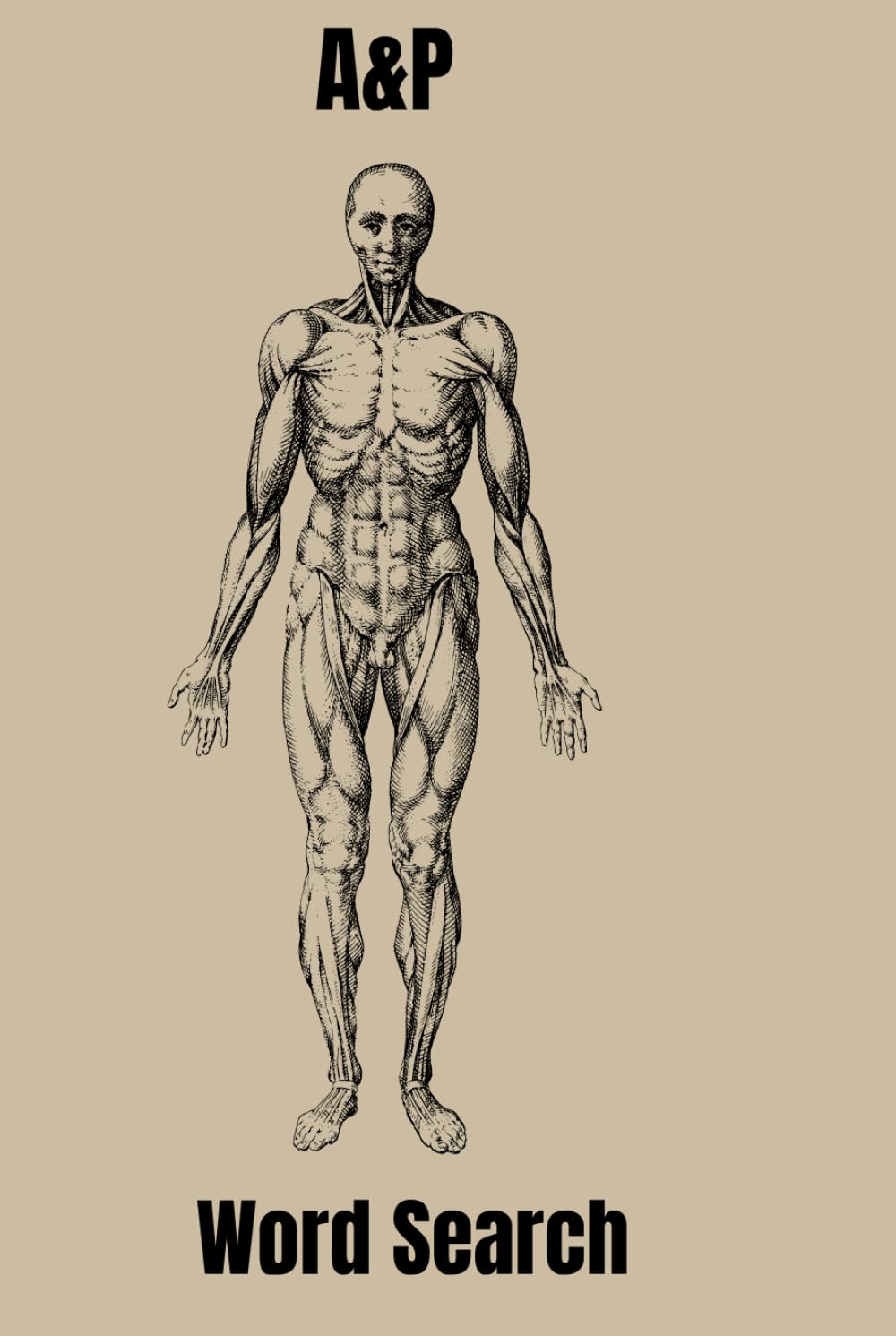 Ultimate Human Anatomy Word Search: 500+ Words Across 90+ Body Systems