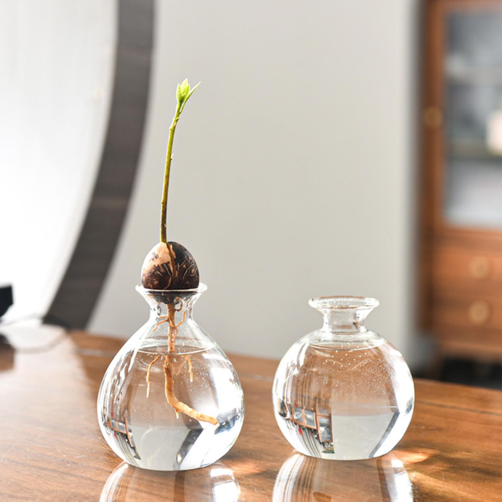 Generico Vaso Per Semi Di Avocado | Vaso Per La Coltivazione Di Alberi | Vaso Idroponico In Vetro Per Avocado | Vaso Di Avocado Per Coltivare | Vasi