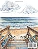 My Heart Belongs in the Outer Banks: adult coloring book #1