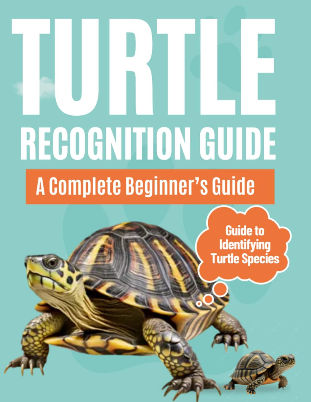 Turtle Recognition Guide : A Complete Beginner’s Guide to Identifying Turtle Species