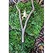 Top Collection 4398 Miniature Fairy Garden Frog Climbing Branch & Planter Stake Decor, Small