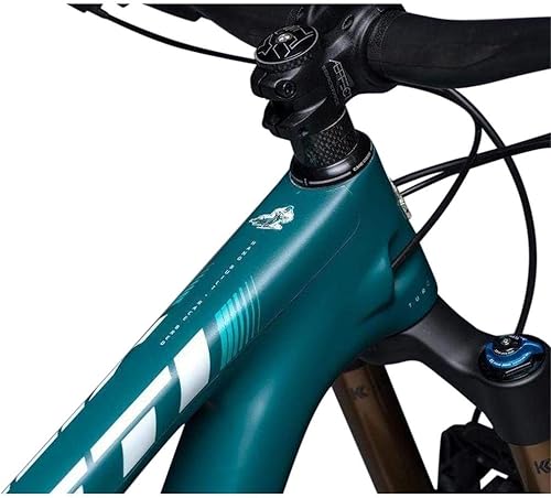 DYEDBRO - Protector de cuadro de bicicleta MTB - Acabado mate - Múltiples estilos - Funda teñida Bro