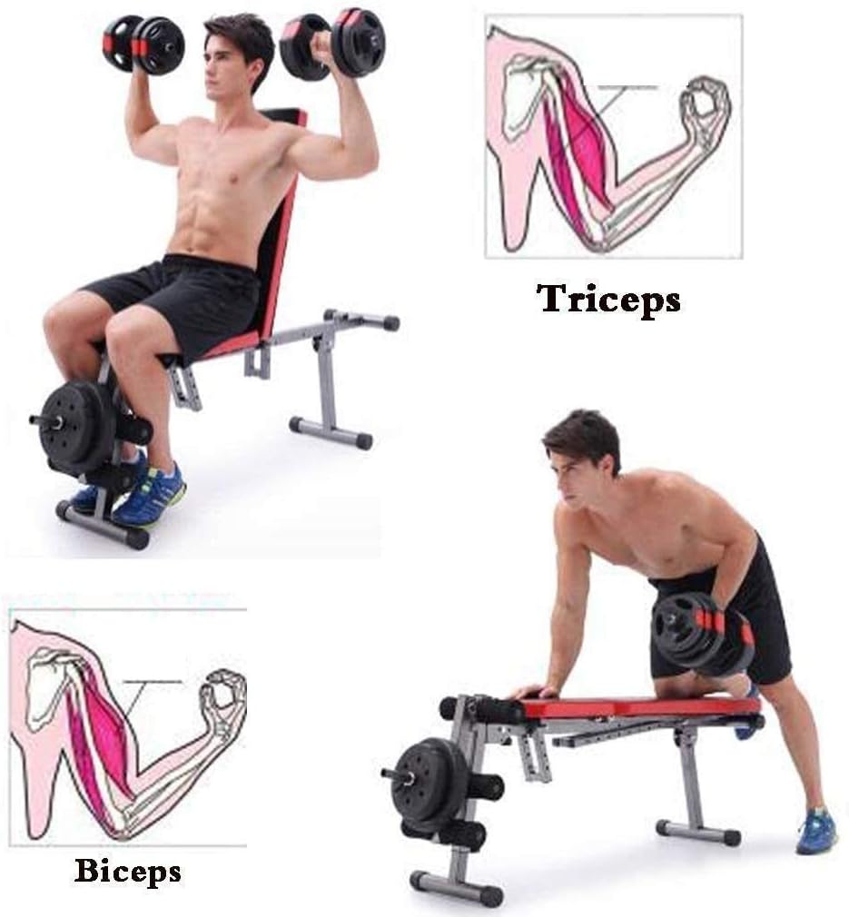 Weight Bench Adjustable Utility Gym Bench Multi-Purpose Sit Up Bench Strength Training Flat/Incline/Decline Exercise Utility Bench Red