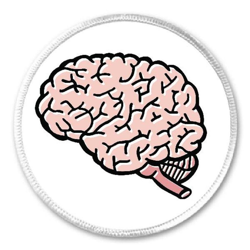 Brain - 3