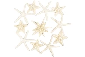 Stunning 12 Pack Starfish for Decor: Captivating Embellishments for Your Coastal Vision