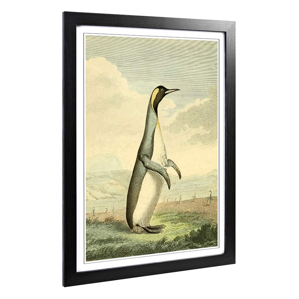 Big Box Art Framed Print of Vintage Charles R Ryley Penguin Design | Wall Art Picture | Home Decor for Kitchen, Living Room, Bedroom, Hallway, Black, A2 / 24.5x18 Inch / 62x45cm