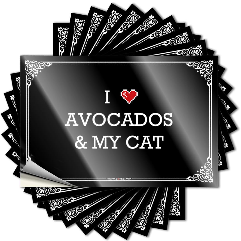 I Love Avocados & My Cat Tattoos Balcony Decor | Cheap Hat Removable Decal Pack(12X18CM)
